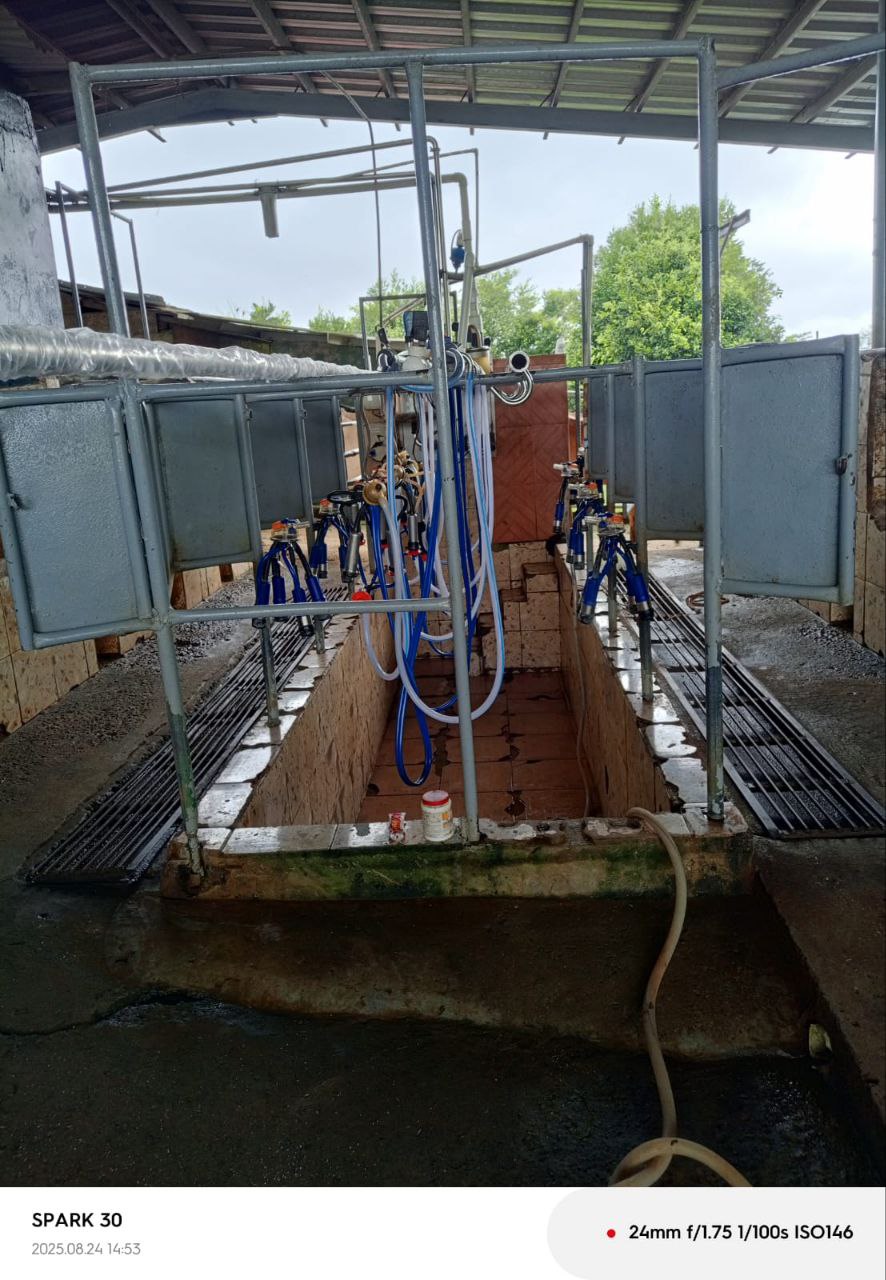 Repuestos y pezoneras GMZ para ordeñadoras — stock en Bugaba Chiriquí